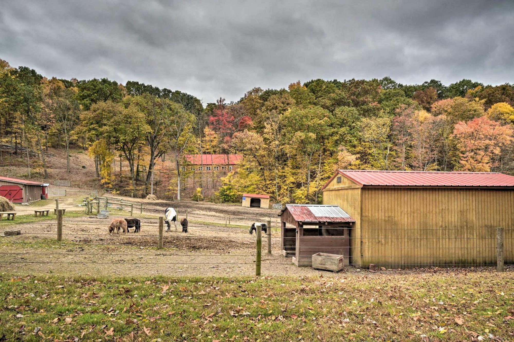 Lucas Mccain Cabin 5 Mi To Raystown Lake Launch! Huntingdon Exterior foto